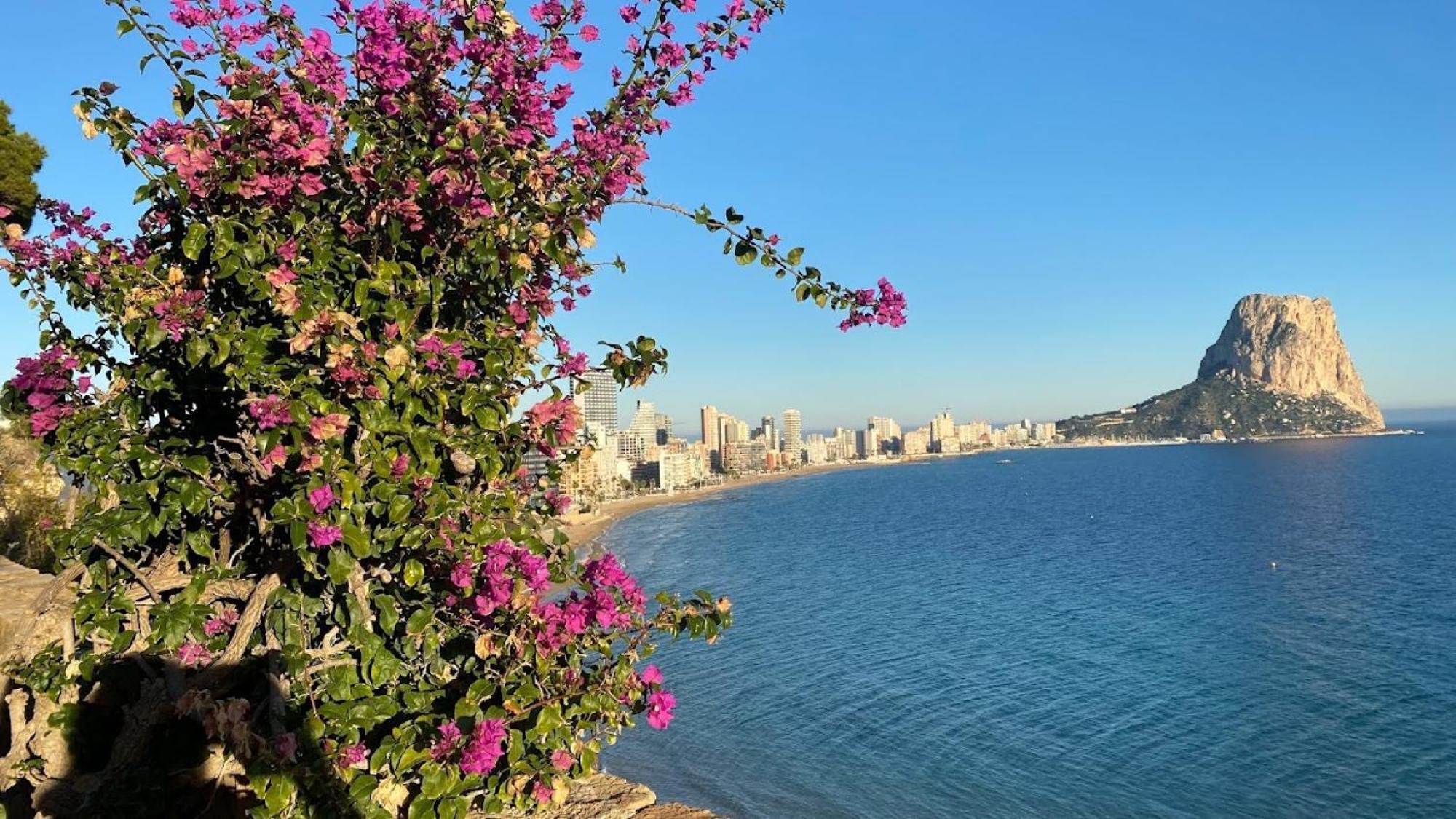 Timora Sea View New Apart' Hipocampos Кальпе Екстер'єр фото